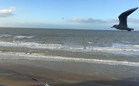 Entre Dunes Et Mer